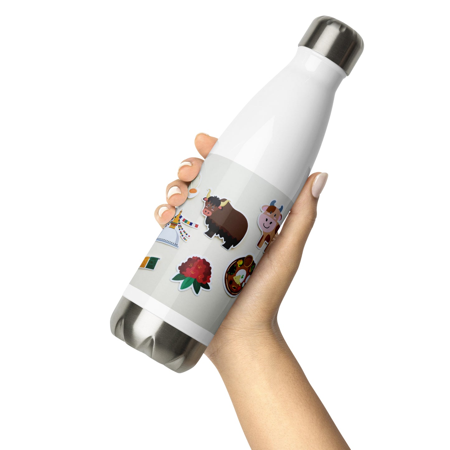 Stainless Steel Water Bottle