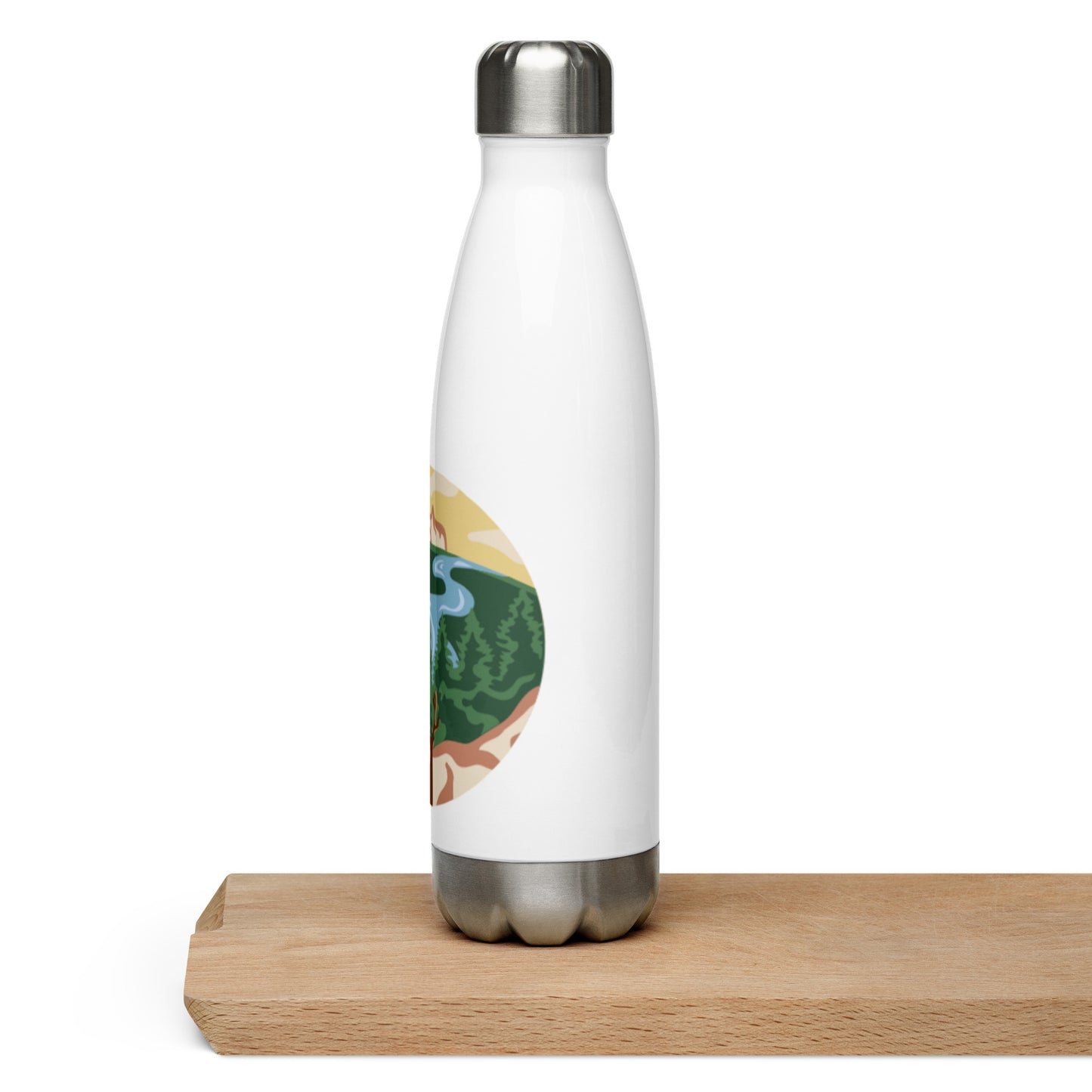 Stainless Steel Water Bottle