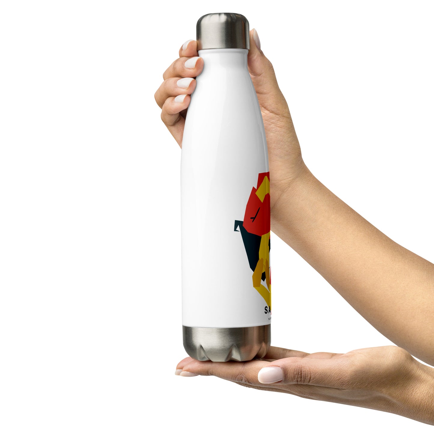 Stainless Steel Water Bottle