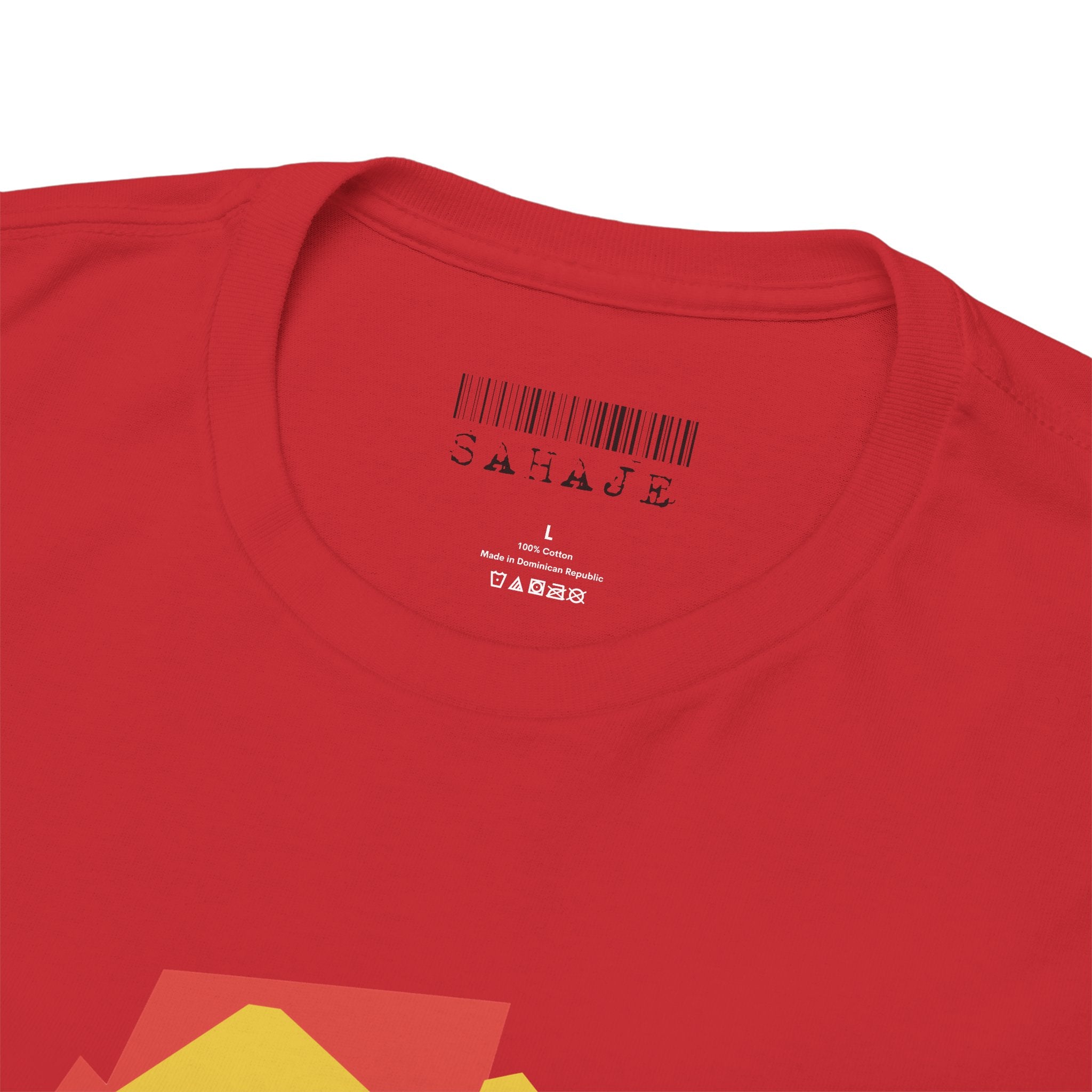 Foxes in Hexagon Graphic Tee — Minimal Geometric Animal Shirt