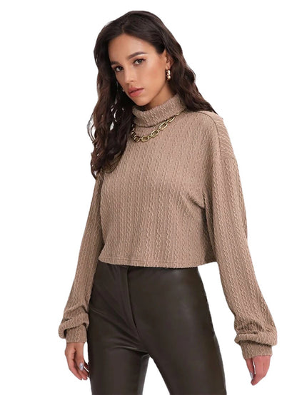 Autumn Winter Pullover High Neck Long Sleeves Twist Knit Solid Color Loose Short Temperament Commute Sweater for Women